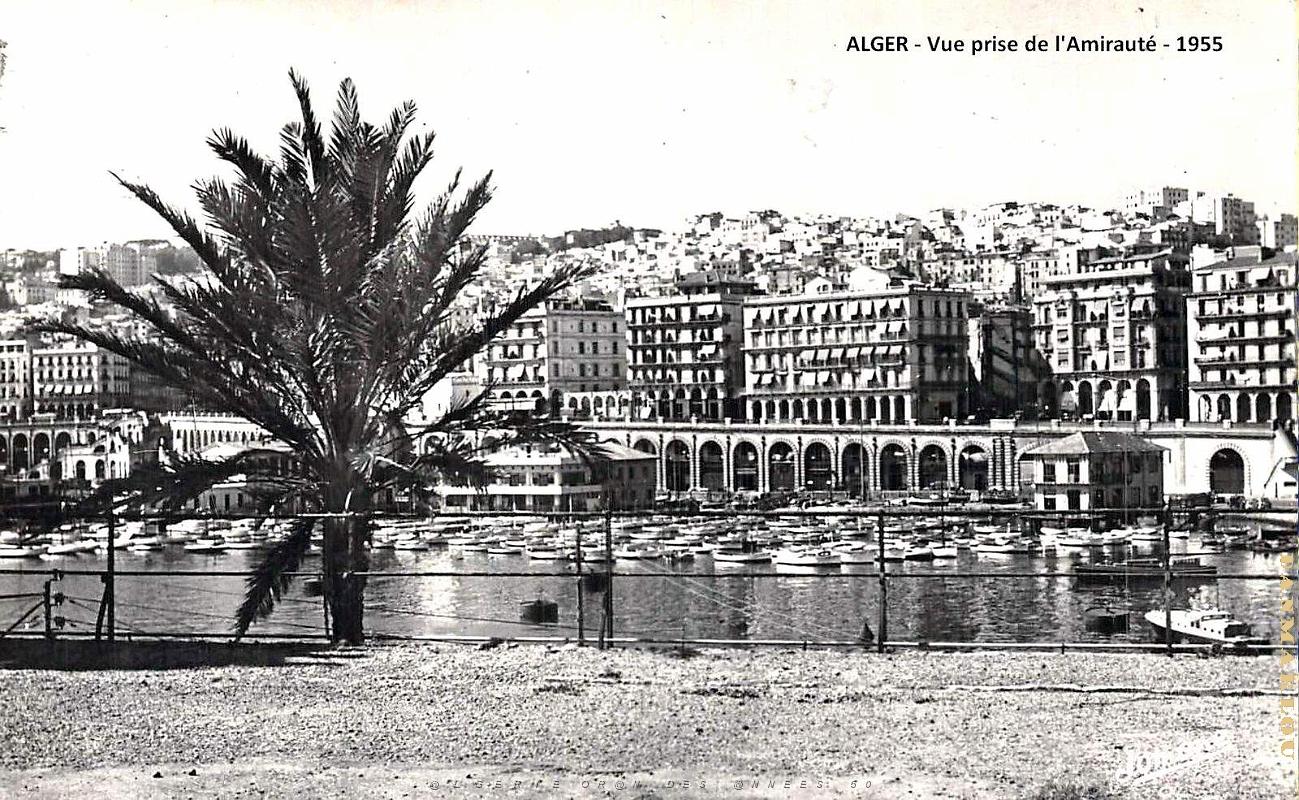 Alger - Vue de l'Amiraute - 1955.jpg